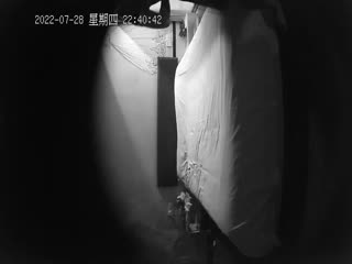 2022-7-28-29新流出小旅馆偷拍男女情人开房偷情啪啪-002